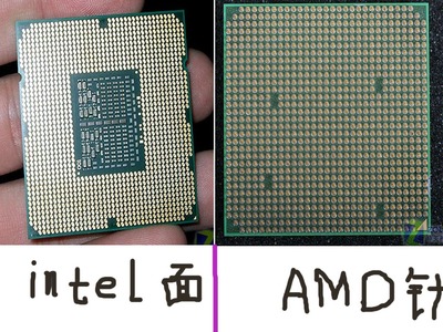 amd 多少针