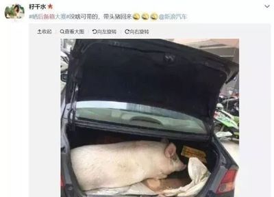 猪?C肉每天吃多少健康