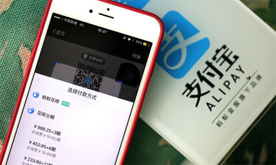 支付宝能信用卡透支多少钱啊