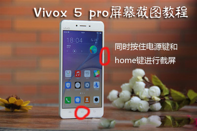 vivox5slOTG支持多少G