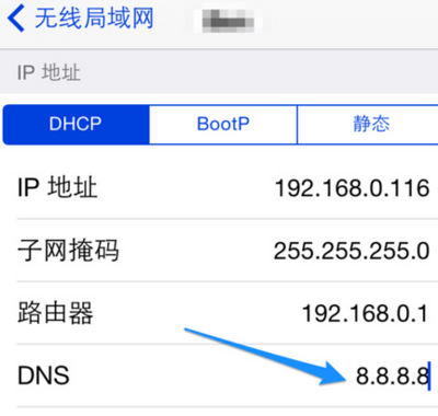 苹果快dns是多少