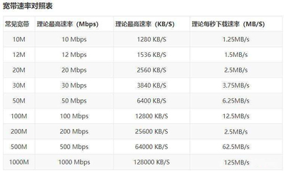 国内最高网速是多少钱