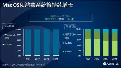 中国有多少计算机用户