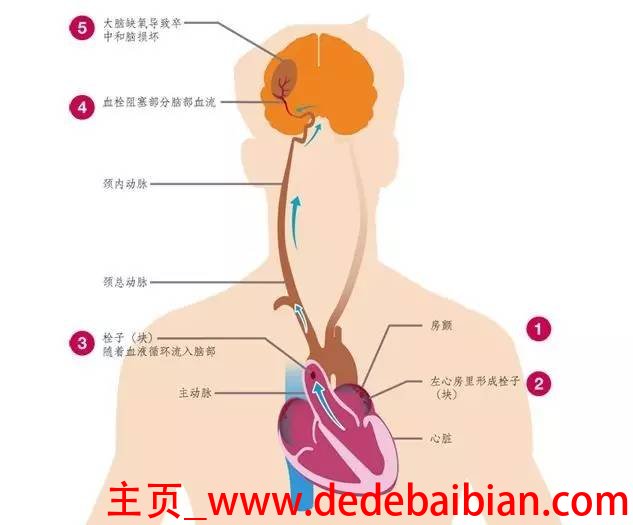 人的血流多少会死