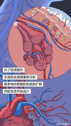 人的血流多少会死