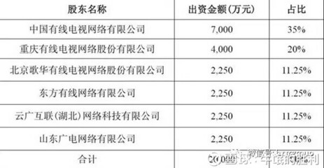 合资公司技术一般占股多少