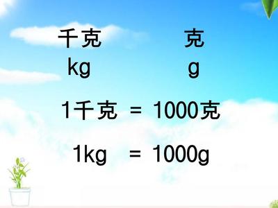 10个1乘以0加1等于多少吨