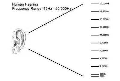 人耳能听多少音分