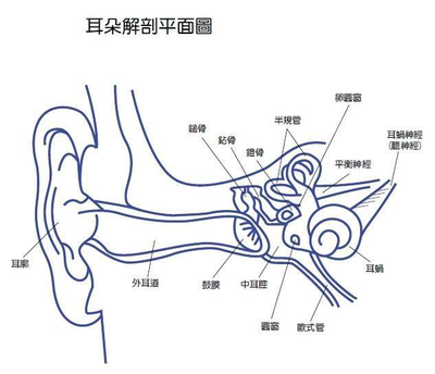 人耳能听多少音分