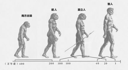 人类进化用了多少时间