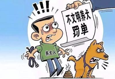 国内有多少狗官司