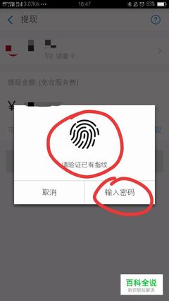 怎样用指纹支付密码是多少次