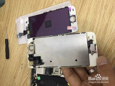 iphone5换内外屏多少钱