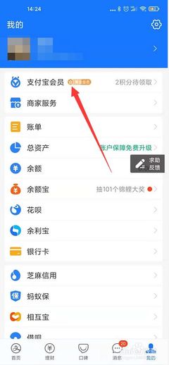 支付宝怎么升级额度多少