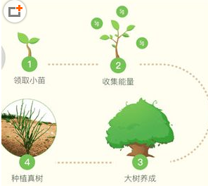 多少蚂蚁森林能量可以种真树