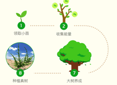 多少蚂蚁森林能量可以种真树