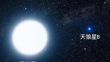 天狼星伴星的密度是多少