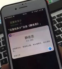 siri花落知多少